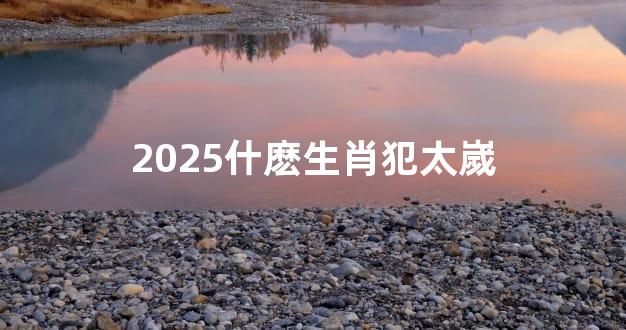 2025什麽生肖犯太嵗