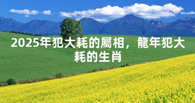 2025年犯大耗的屬相，龍年犯大耗的生肖