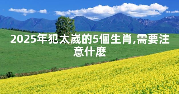 2025年犯太嵗的5個生肖,需要注意什麽