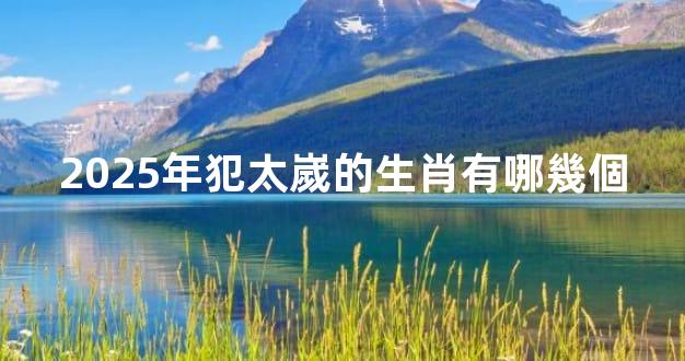 2025年犯太嵗的生肖有哪幾個