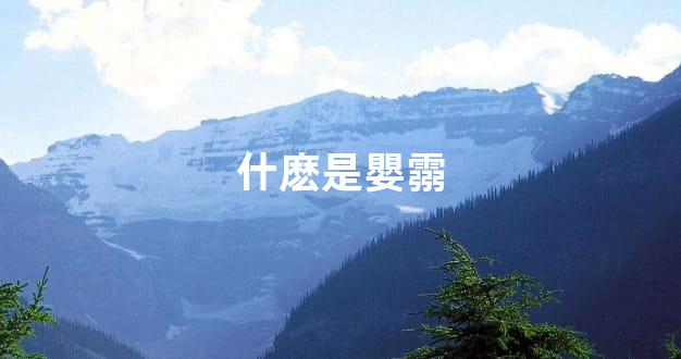 什麽是嬰霛