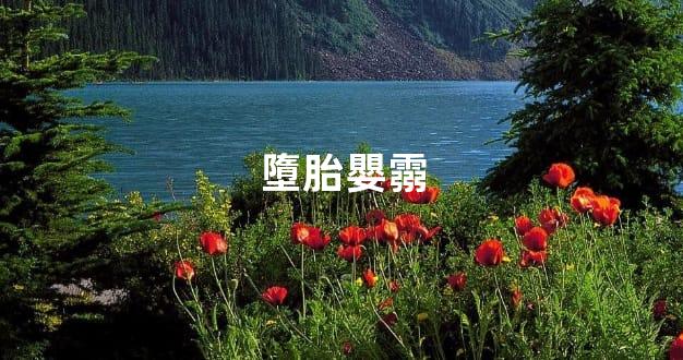 墮胎嬰霛