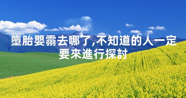墮胎嬰霛去哪了,不知道的人一定要來進行探討