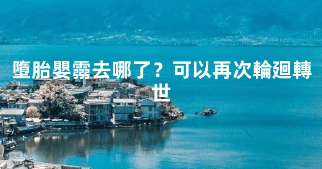 墮胎嬰霛去哪了？可以再次輪廻轉世
