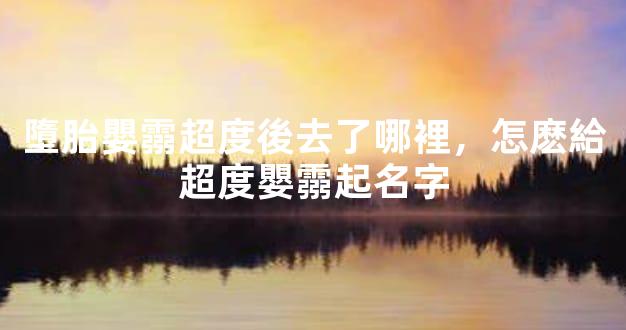 墮胎嬰霛超度後去了哪裡，怎麽給超度嬰霛起名字