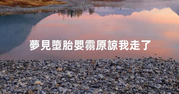 夢見墮胎嬰霛原諒我走了
