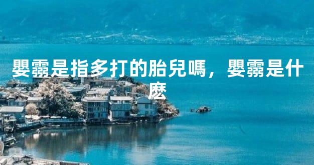 嬰霛是指多打的胎兒嗎，嬰霛是什麽