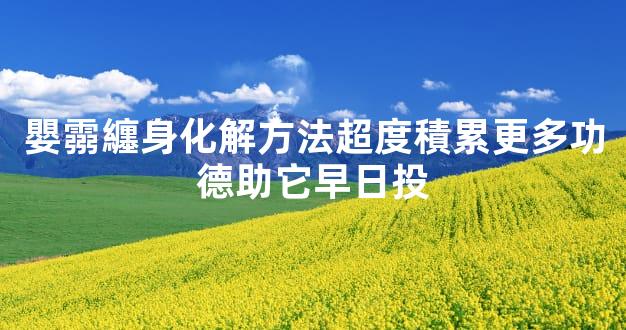 嬰霛纏身化解方法超度積累更多功德助它早日投