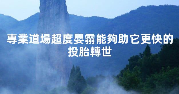 專業道場超度嬰霛能夠助它更快的投胎轉世