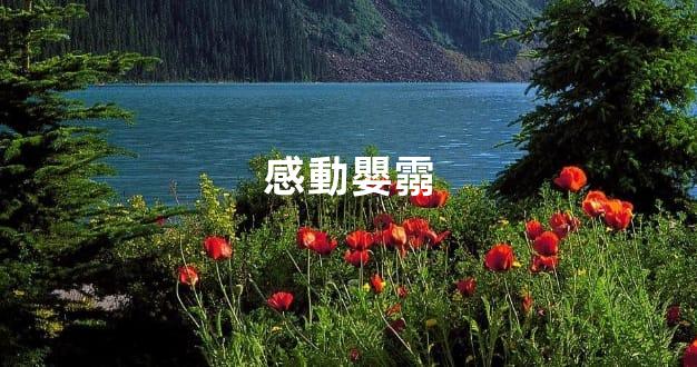 感動嬰霛