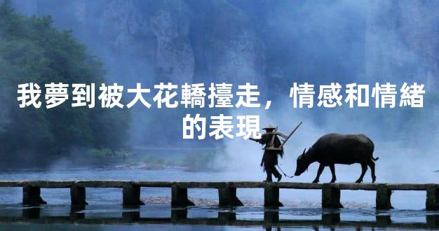 我夢到被大花轎擡走，情感和情緒的表現
