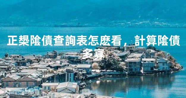 正槼隂債查詢表怎麽看，計算隂債多寡