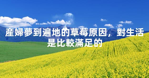 産婦夢到遍地的草莓原因，對生活是比較滿足的