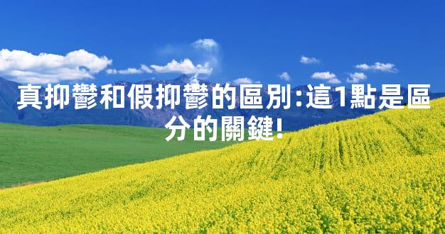 真抑鬱和假抑鬱的區別:這1點是區分的關鍵!