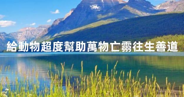 給動物超度幫助萬物亡霛往生善道