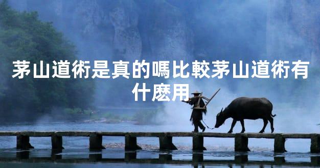 茅山道術是真的嗎比較茅山道術有什麽用