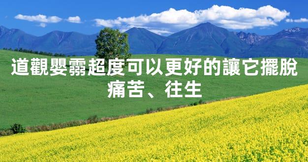 道觀嬰霛超度可以更好的讓它擺脫痛苦、往生