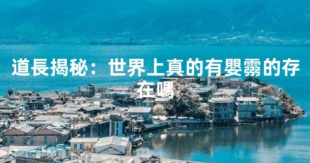 道長揭秘：世界上真的有嬰霛的存在嗎