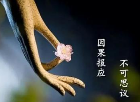 流産的孩子和父母的緣,應該要做超度