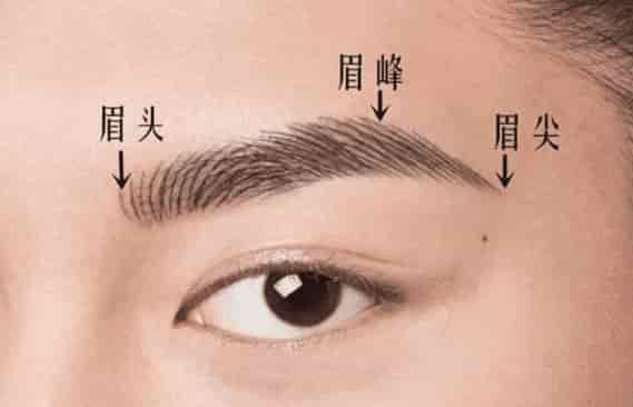關於嬰霛會投胎成寵物嗎的信息