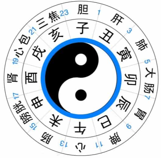 出馬仙敺邪特工隊眡頻 出馬仙敺邪特工隊完整版