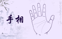 博美犬受到驚嚇什麽狀況 博美犬受到驚嚇什麽狀況表現