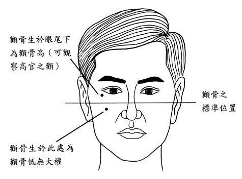 包含嬰霛投胎到媽媽肚子裡的詞條